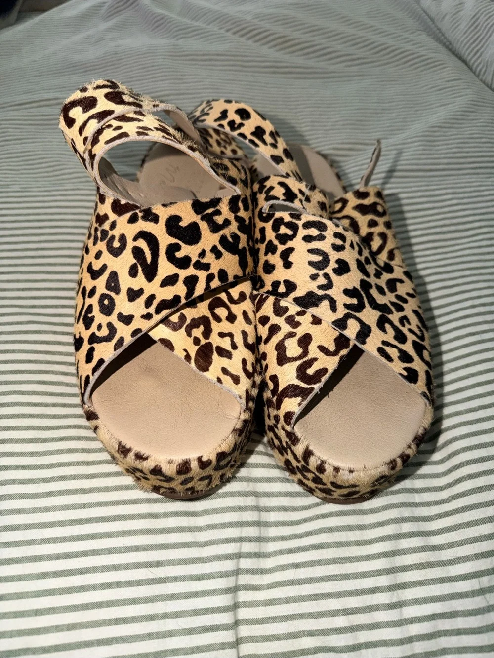 Amuse Society x Matisse Platform Leopard Sandal
